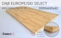 dab_europejski_3000x640x40.jpg