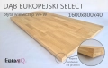 dab_europejski(1).png