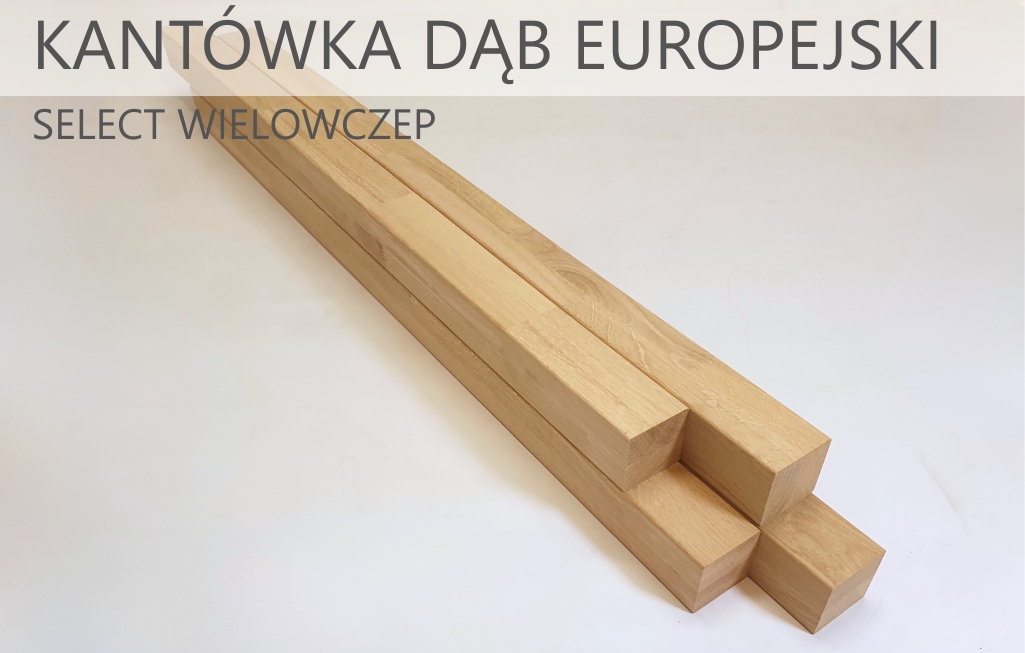 kantówka_dąb_europejski_select